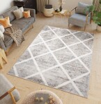 DumDekorace Vintage koberec s jednoduchým vzorem Šířka: 80 cm | Délka: 150 cm