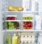 ROTHO Organizér do ledničky CAUMA box 2 L