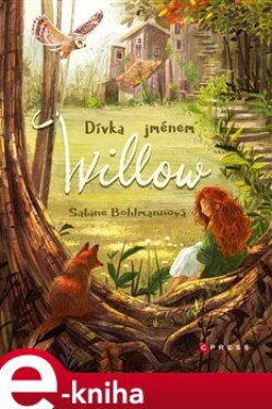 Dívka jménem Willow - Sabine Bohlmannová e-kniha