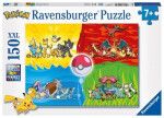 Puzzle Druhy Pokémonů