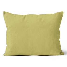 Mikroplyšový povlak na polštář 50x70 cm Olivový