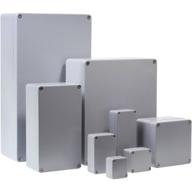 BERNSTEIN CA-020 1020000000 univerzální pouzdro 50 x 45 x 30 hliník stříbrnošedá (RAL 7001) 1 ks