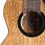 Flight Fireball Tenor EQ-A