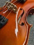 Gewa Ideale Violin Set 4/4 (použité)