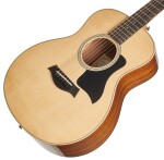 Taylor GS Mini-e Rosewood Plus