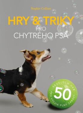 Hry triky pro chytrého psa pro