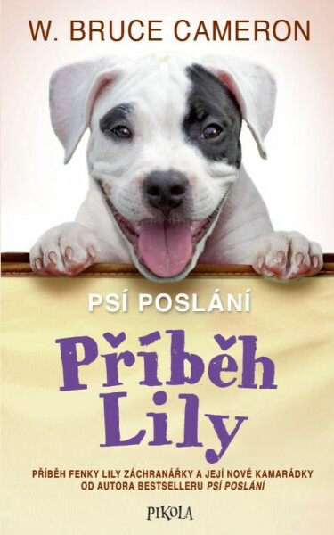 Příběh Lily - Bruce Cameron