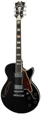 D'Angelico Single Cutaway Black Flake
