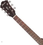Ibanez AE295LS Natural