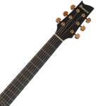 Ibanez EP5 Black Pearl