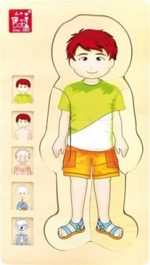 Small Foot Dřevěné hračky puzzle anatomie Tim