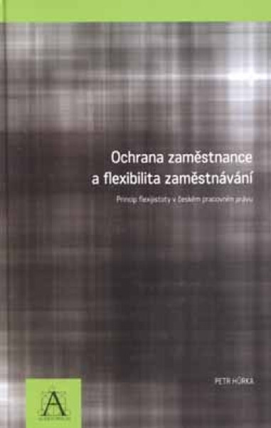 Auditorium Ochrana zaměstnance a flexibilita zaměstnávání - Petr Hůrka