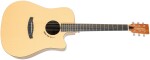 Tanglewood TM5CE