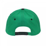 Zephyr Pánská Kšiltovka Dallas Stars NHL Staple Adjustable