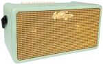 Vintage Retro 25 Mint Green
