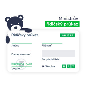 Mamido Můj první řidičský průkaz