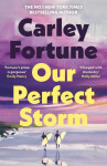 Our Perfect Storm - Carley Fortune