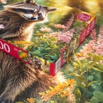 Puzzle Cherry Pazzi 500 dílků - Lesní průzkumník