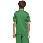 Adidas Team Icon 25 JSY Jr Tričko JJ1956 164 cm