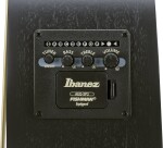 Ibanez AEWC621L BOT