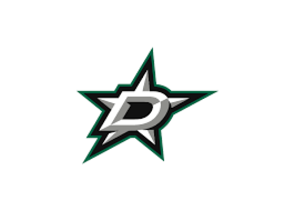 Wincraft Magnet Dallas Stars NHL Akryl Primary Logo