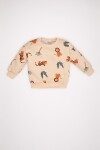 DEFACTO Baby Boy Crew Neck Printed Sweatshirt