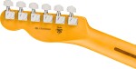 Fender American Professional Telecaster MN ACB