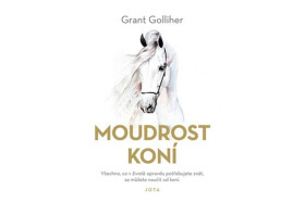 Moudrost koní
