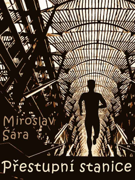 Přestupní stanice - Miroslav Šára