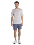 ICEBREAKER Mens Merino Drayden SS Tee Stripe, Ecru Heather/Purple Gaze velikost: M