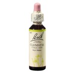 Bílá lesní réva (Clematis) 20 ml - Bachovy esence Dr.Bach