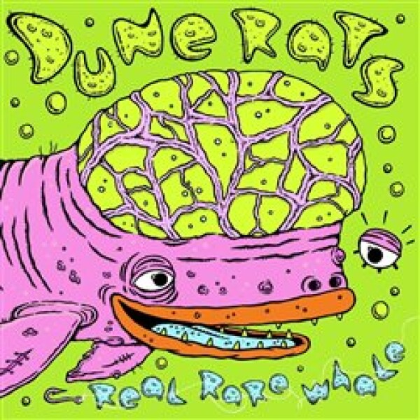 Real Rare Whale (CD) - Dune Rats