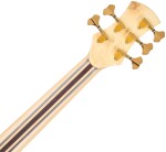 AV Basses AV1-5 Satin Matt