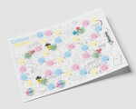 Colour Quest Fun Board 70x50 - neznámý