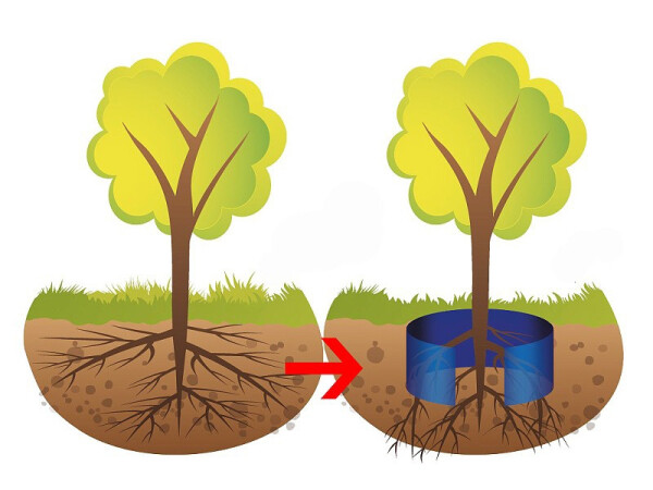 Protikořenová fólie Root barrier tloušťka mm, černá m²]