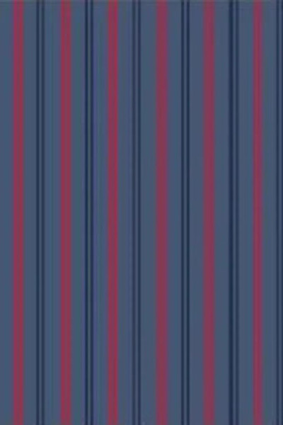 Pánské slipy 232/127 jeans - Cornette L