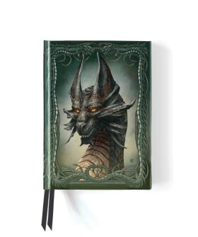Zápisník Beyit: Black Dragon