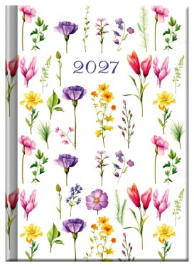 Praktik denní diář 2027 - LOUKA (A6)