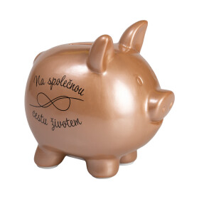 Prasátková pokladnička - Na společnou cestu - Albi