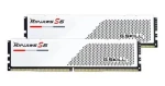 G.Skill Ripjaws S5 96GB (2x48GB) 5200MHz / Operační paměť / DDR5 / CL40 / 1.1V / XMP 3.0 (F5-5200J4040A48GX2-RS5W)