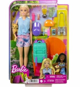 Barbie DHA KEMPUJÍCÍ PANENKA MALIBU