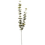 Ib Laursen Umělá větvička eukalyptu 85 cm, zelená barva, plast