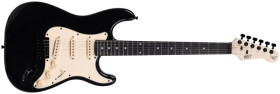 Henry`s Jr. Bird II ST1-NJR Crow - Black