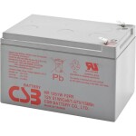 CSB Battery EVX12170 olověný akumulátor 12 V 17 Ah olověný se skelným rounem (š x v x h) 181 x 167 x 76 mm šroubované M5