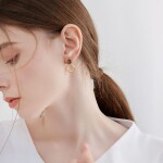 Elegantní visací náušnice s tygřím okem - stříbrné zapínání, Hnědá