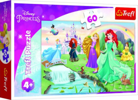 Puzzle Seznamte se Disney princeznami