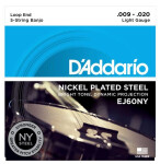 D'Addario EJ60NY