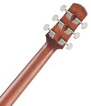 Ibanez AAD190CE Natural