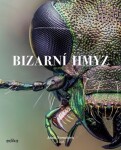 Bizarní hmyz