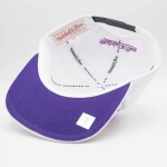 Mitchell & Ness Pánská kšiltovka Toronto Raptors NBA Vince Carter 90s Playa Deadstock Snapback